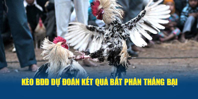 Kèo BDD dự đoán kết quả bất phân thắng bại